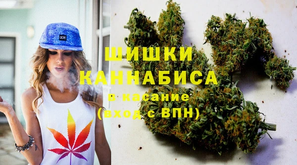 ГАЛЛЮЦИНОГЕННЫЕ ГРИБЫ Алзамай