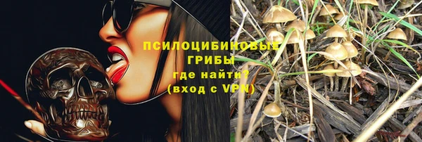 хмурый Алексеевка