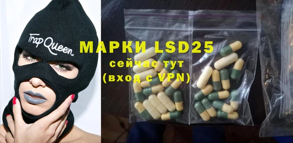 ГАЛЛЮЦИНОГЕННЫЕ ГРИБЫ Алзамай