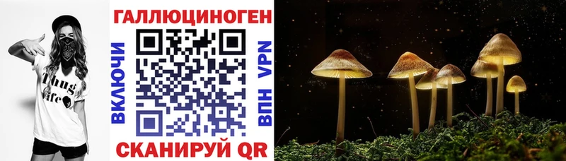 Псилоцибиновые грибы MAGIC MUSHROOMS  Заринск 