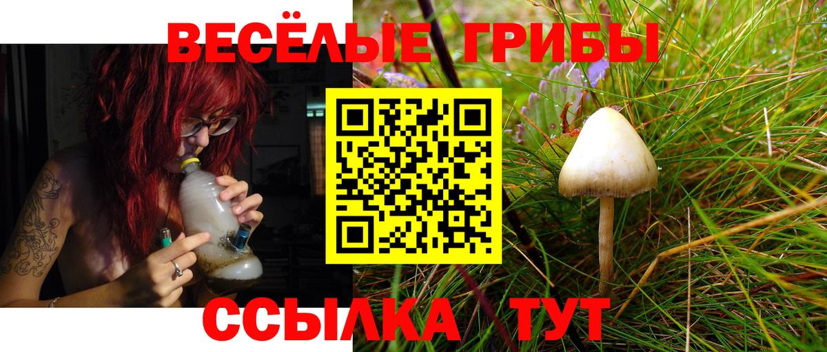 Псилоцибиновые грибы мухоморы Заринск