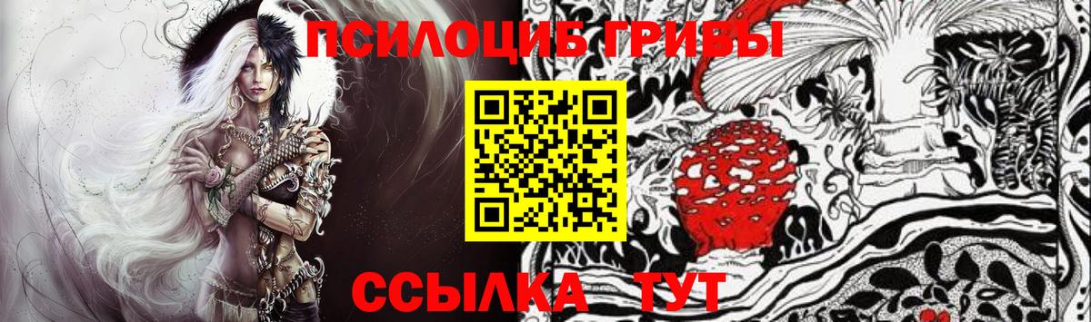 Заринск  Галлюциногенные грибы Cubensis  Вход с VPN 